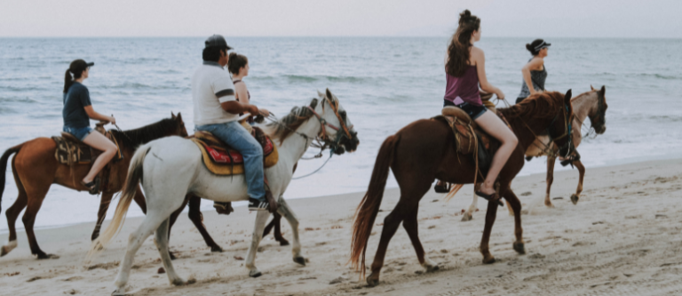 Wat te doen in Callantsoog? 11 tips voor activiteiten